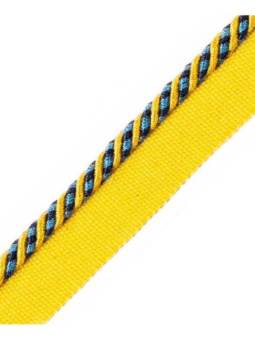 Scalamandre Bayadere Cord With Tape C Oasis Trim Sample PL63660648