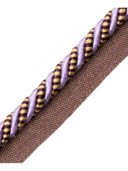 Scalamandre Bayadere Cord With Tape B Raisin Trim PL63640650