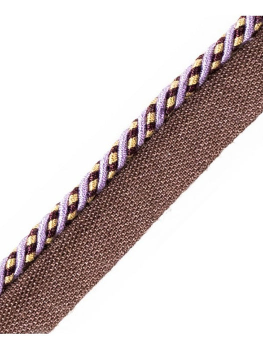 Scalamandre Bayadere Cord With Tape C Raisin Trim Sample PL63660650