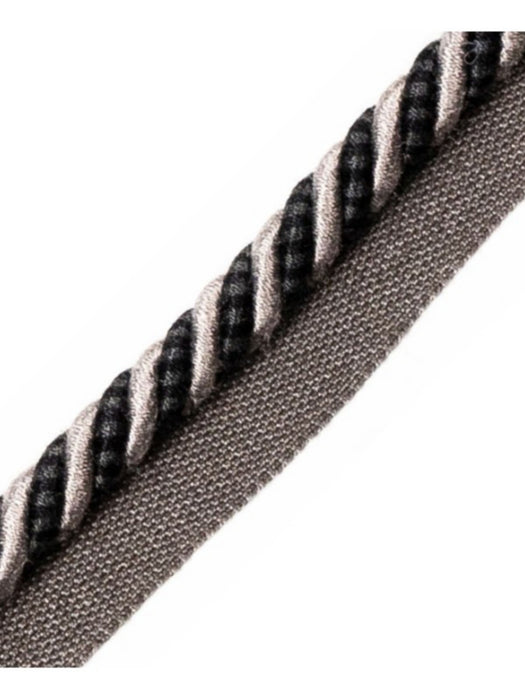 Scalamandre Bayadere Cord With Tape B Caviar Trim Sample PL63640652