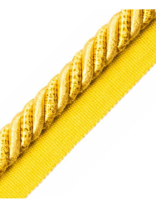Scalamandre Ambiance Cord With Tape A Vanille Trim PL60590656