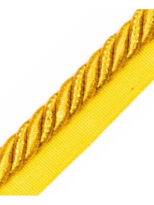 Scalamandre Ambiance Cord With Tape A Boouton D'Or Trim PL60590657