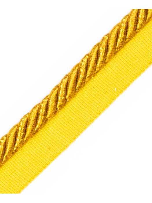Scalamandre Ambiance Cord With Tape B Boouton D'Or Trim PL60640657