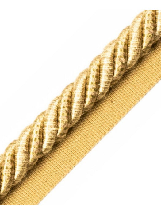 Scalamandre Ambiance Cord With Tape A Chameau Trim PL60590658
