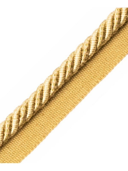 Scalamandre Ambiance Cord With Tape B Chameau Trim Sample PL60640658