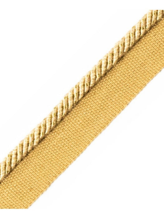 Scalamandre Ambiance Cord With Tape C Chameau Trim Sample PL60660658