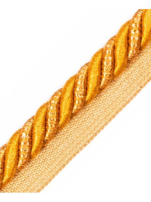Scalamandre Ambiance Cord With Tape A Cuivre Trim Sample PL60590659