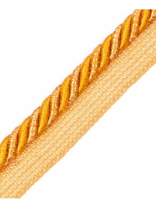 Scalamandre Ambiance Cord With Tape B Cuivre Trim PL60640659
