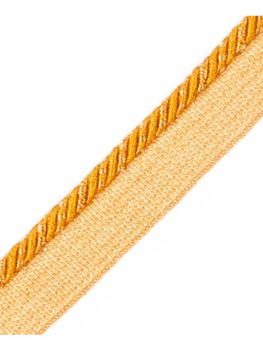Scalamandre Ambiance Cord With Tape C Cuivre Trim Sample PL60660659