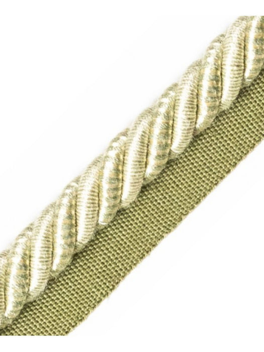 Scalamandre Ambiance Cord With Tape A Feuille Trim PL60590663