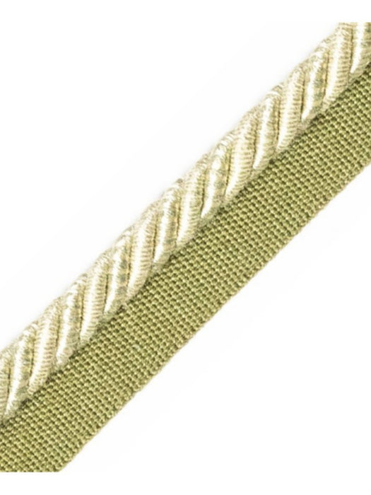 Scalamandre Ambiance Cord With Tape B Feuille Trim Sample PL60640663