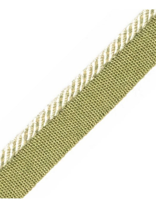Scalamandre Ambiance Cord With Tape C Feuille Trim Sample PL60660663