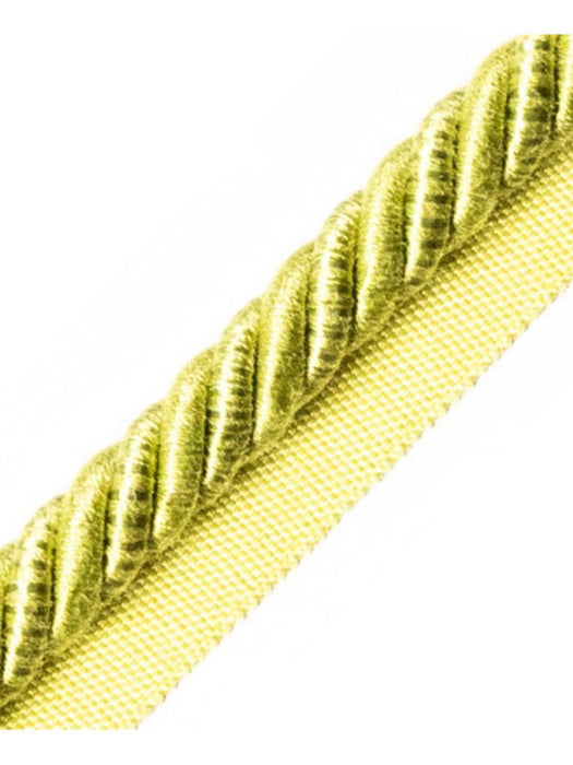 Scalamandre Ambiance Cord With Tape A Pomme Trim PL60590664
