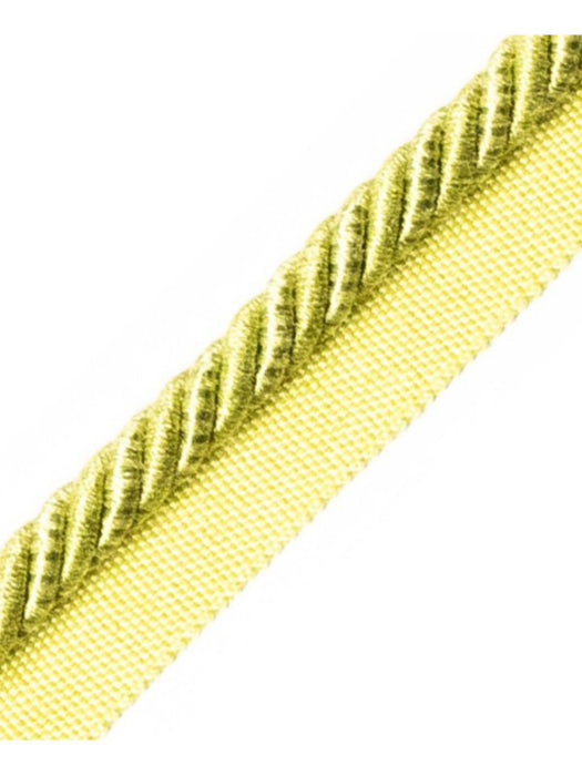 Scalamandre Ambiance Cord With Tape B Pomme Trim PL60640664