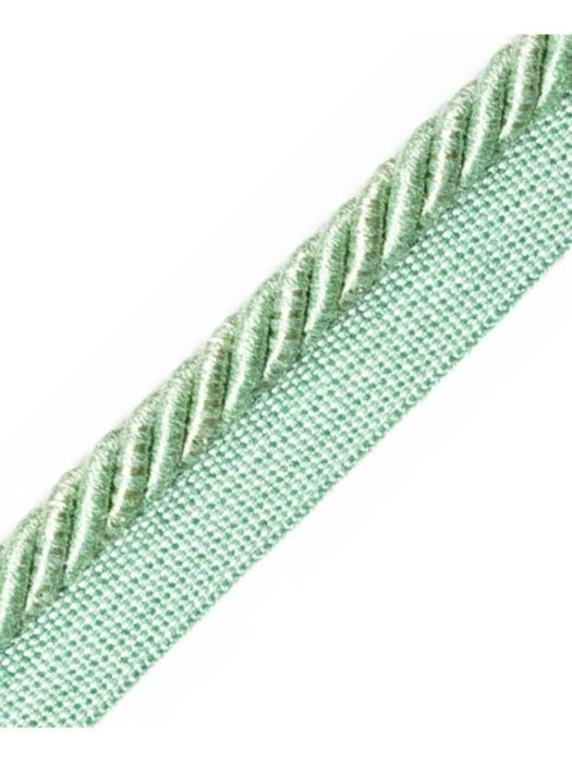 Scalamandre Ambiance Cord With Tape B Basilic Trim Sample PL60640665