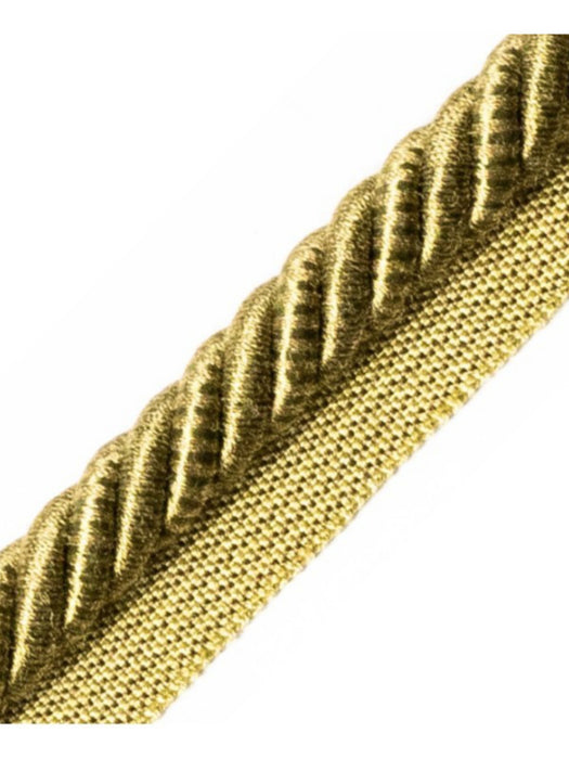 Scalamandre Ambiance Cord With Tape A Lierre Trim PL60590666
