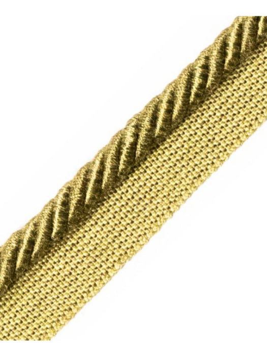 Scalamandre Ambiance Cord With Tape B Lierre Trim Sample PL60640666