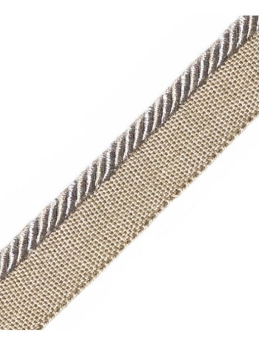 Scalamandre Ambiance Cord With Tape C Acier Trim Sample PL60660669