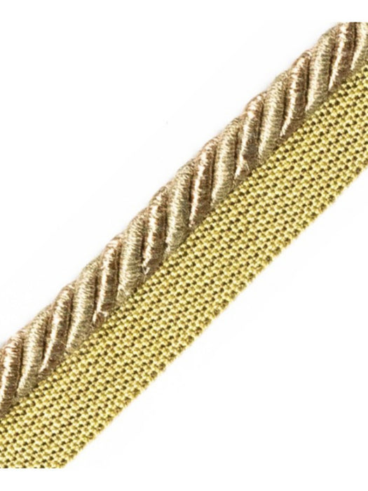 Scalamandre Ambiance Cord With Tape B Algue Trim PL60640671