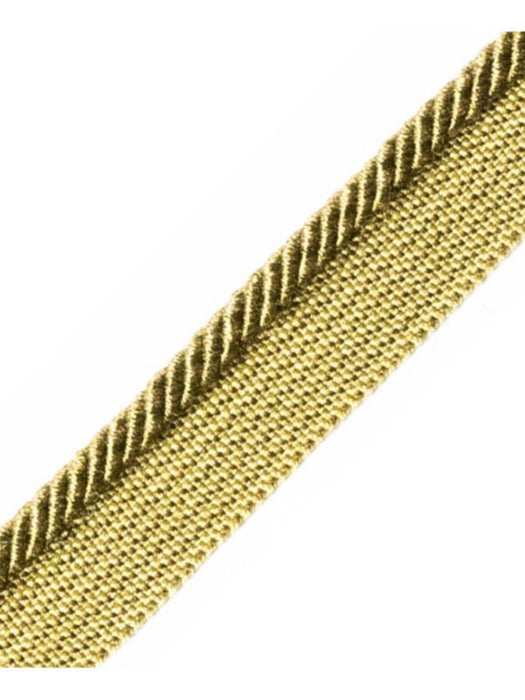 Scalamandre Ambiance Cord With Tape C Algue Trim Sample PL60660671