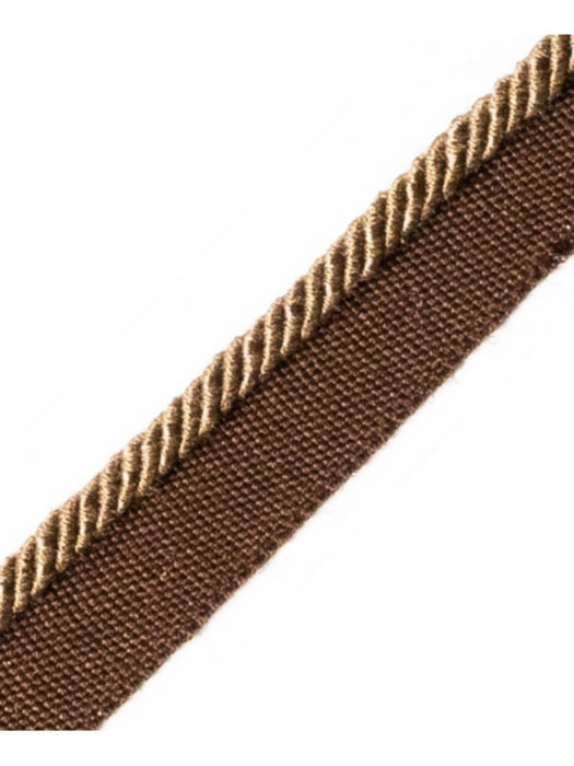 Scalamandre Ambiance Cord With Tape C Daim Trim Sample PL60660672