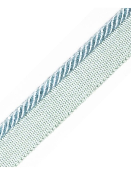 Scalamandre Ambiance Cord With Tape C Ciel Trim Sample PL60660675
