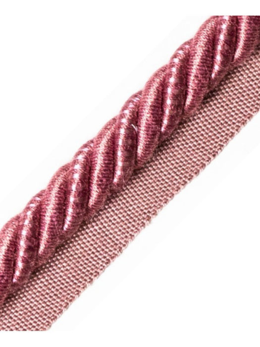 Scalamandre Ambiance Cord With Tape A Pivoine Trim Sample PL60590680