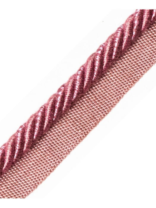 Scalamandre Ambiance Cord With Tape B Pivoine Trim Sample PL60640680
