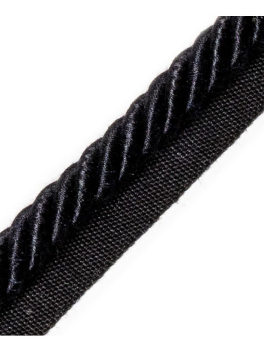 Scalamandre Ambiance Cord With Tape A Noir Trim Sample PL60590686