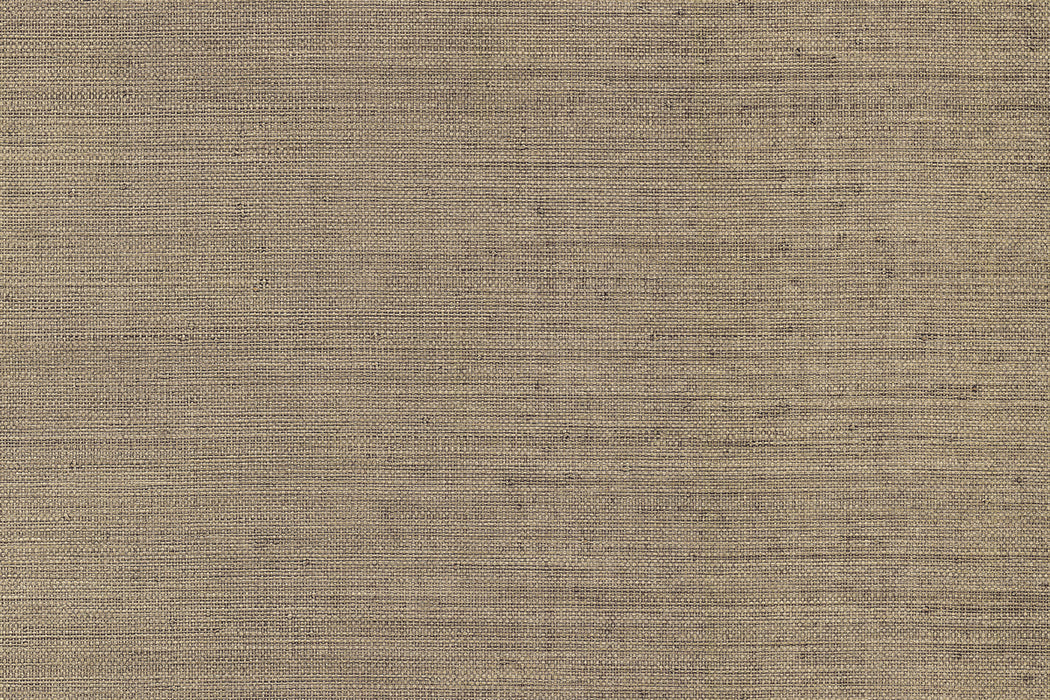 Perennials Diva Titanium Wallpaper PM101-835