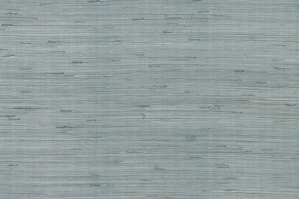 Perennials Good Natured Aquamarine Wallpaper PM103-524