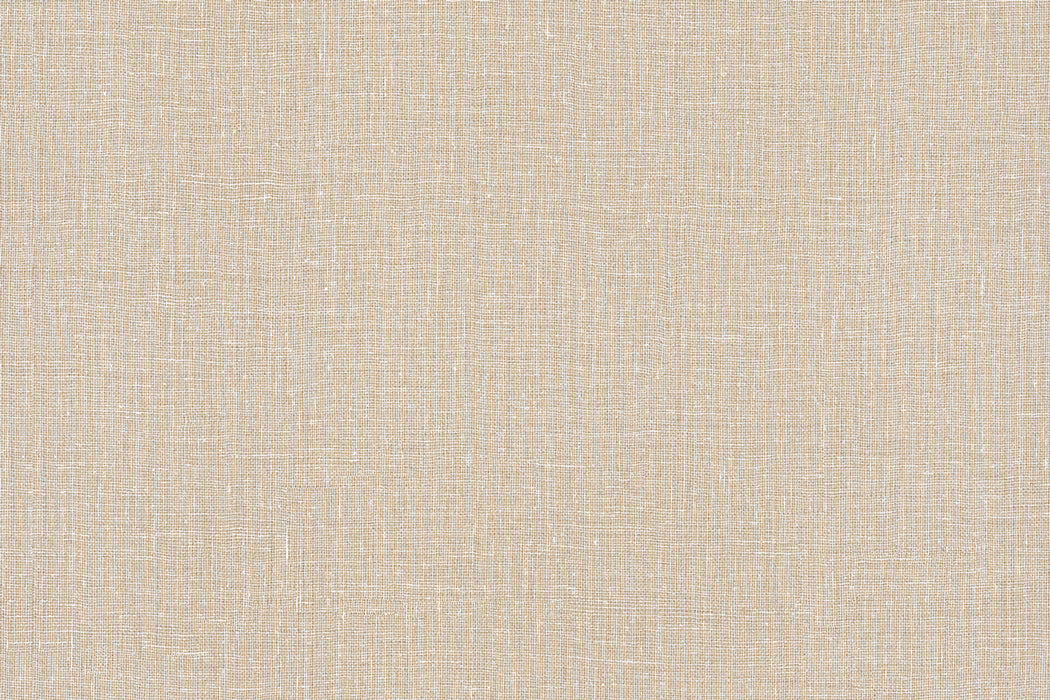 Perennials Cheese Please Beach Wallpaper PP101-159