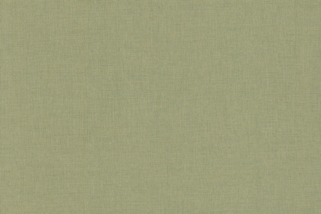 Perennials Cheese Please Matcha Wallpaper PP101-738
