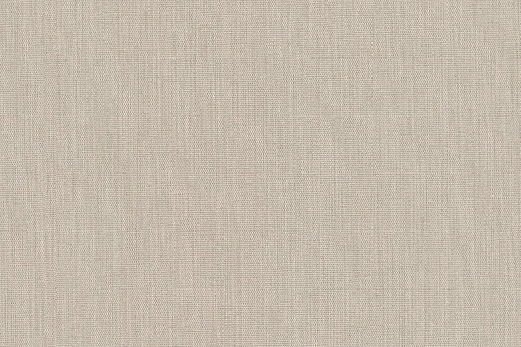 Perennials Mess Around Ash Wallpaper PP102-108