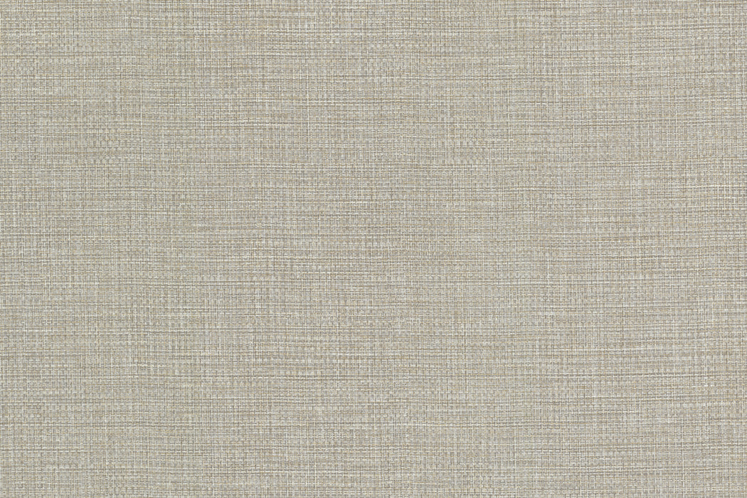 Perennials Thicket Dove Wallpaper PP103-102