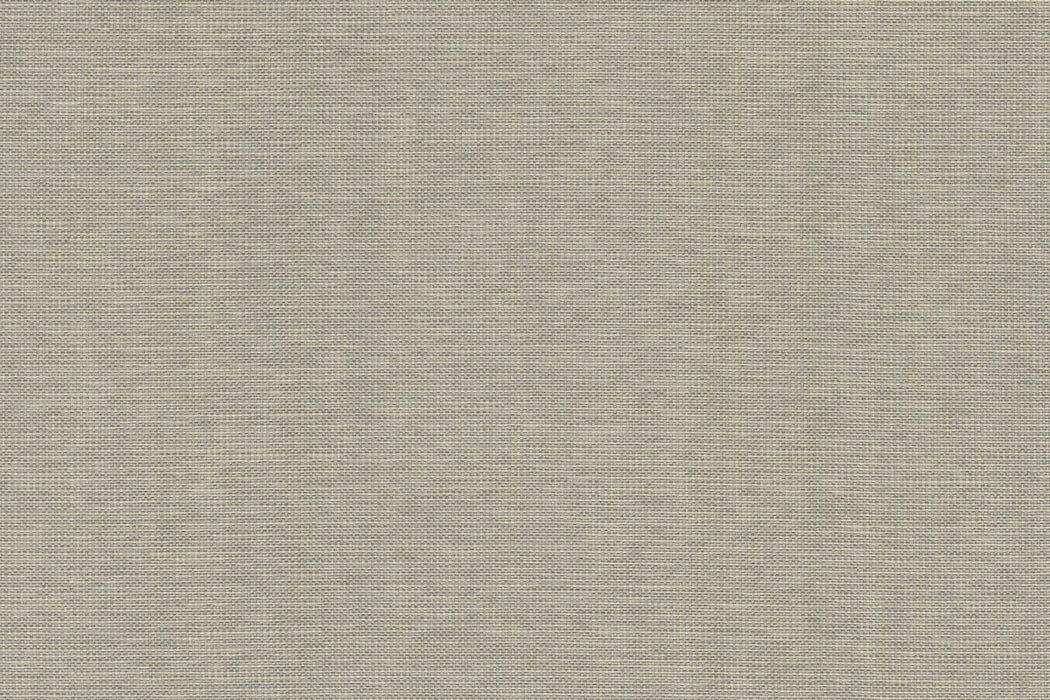 Perennials Sugar Coated Ash Wallpaper PT100-108
