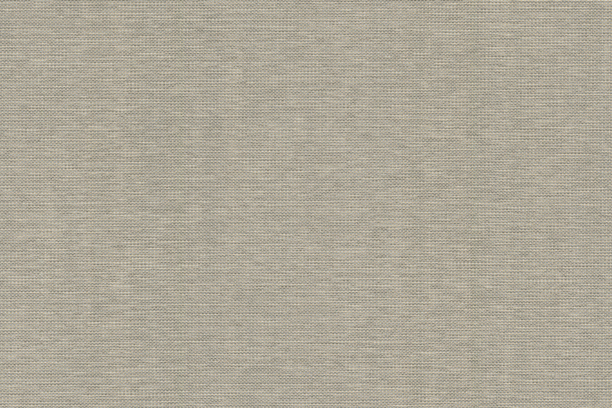 Perennials Sugar Coated Ash PT100-108 Sample | 40% Off (Samples)