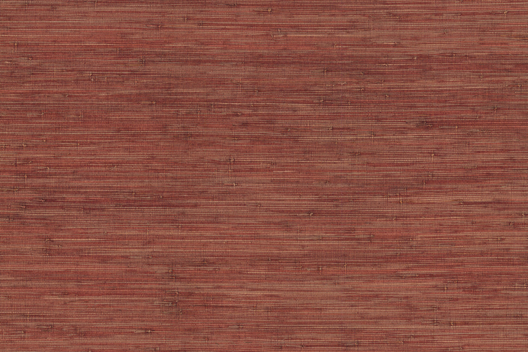 Perennials Tied Up Rusty Wallpaper PT105-713