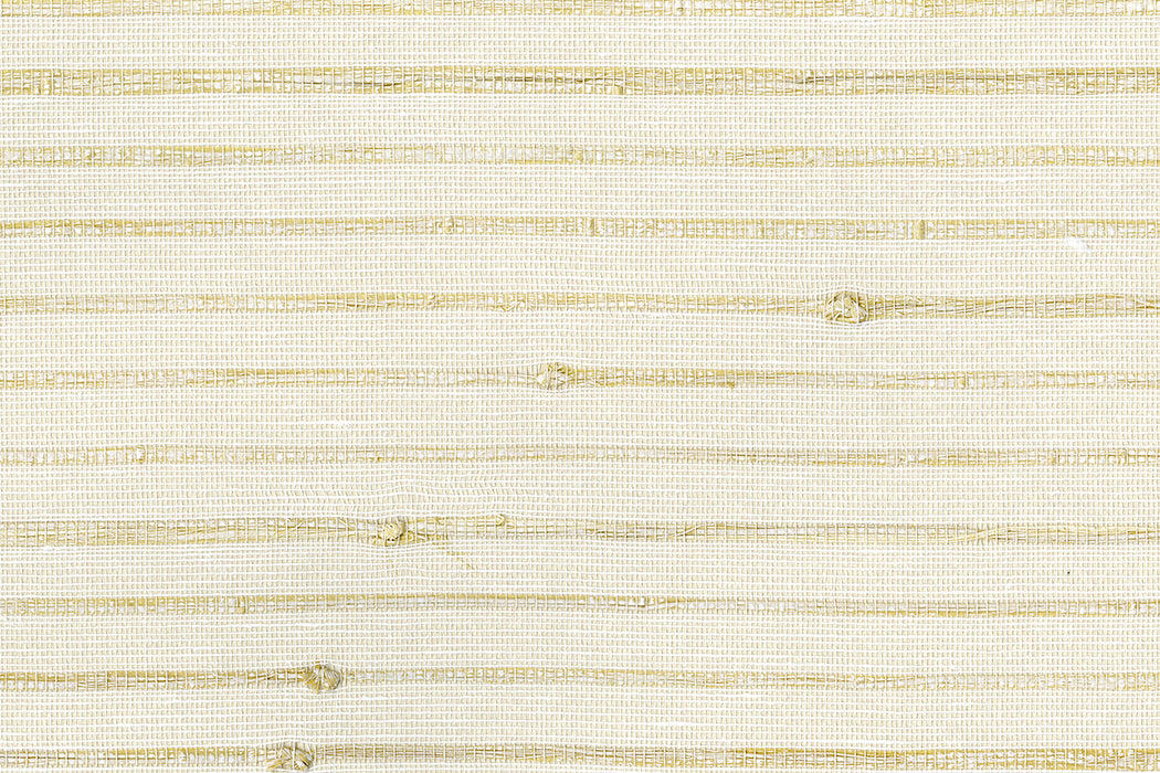 Perennials Filament Putty Wallpaper PT111-203