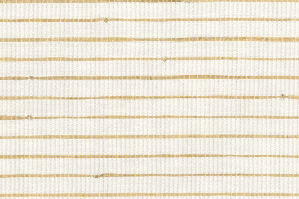 Perennials Filament Blanca Wallpaper PT111-28