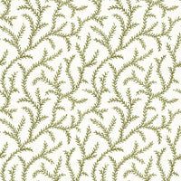 Pure Edit Inaya Wp Moss Wallpaper PWC100010.23.0