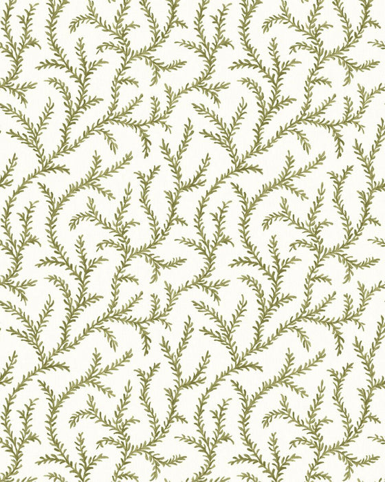 Pure Edit Inaya Wp Moss Wallpaper Sample PWC100010.23.0