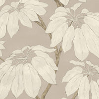 Pure Edit Pondicherry Wp Clay Wallpaper PWC100019.106.0