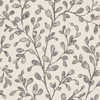 Pure Edit Taree Wp Charcoal Wallpaper PWC100022.21.0