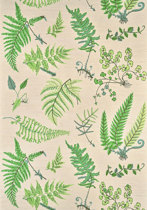 Pierre Frey Botanique Printemps Wallpaper Sample FP084002