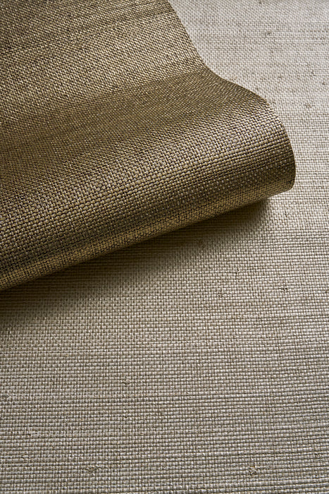 Perennials Diva Pyrite Wallpaper PM101-834