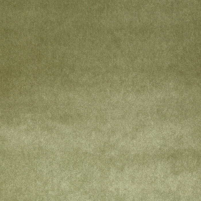 Pindler Chase Moss Fabric Q006