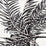 China Seas Palmiere Black Fabric 2090-05