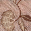 China Seas Flores Ii Brown Cream Fabric 4060CU-09