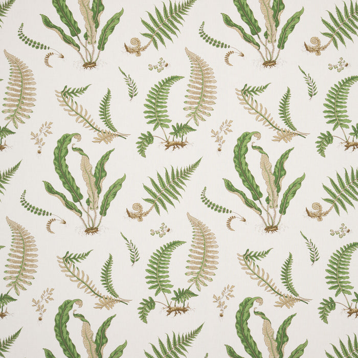 GP & J Baker Ferns Linen Stone/Green Fabric R1324.01.0